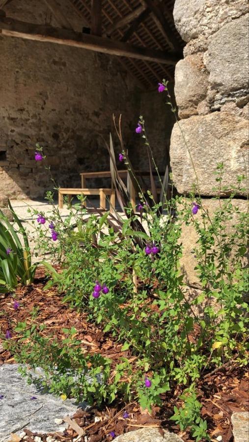 Chateau De La Garnison オルヴォー エクステリア 写真