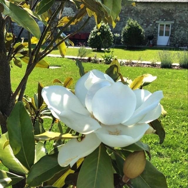 Chateau De La Garnison オルヴォー エクステリア 写真